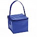 Mini borsa frigo in PVC