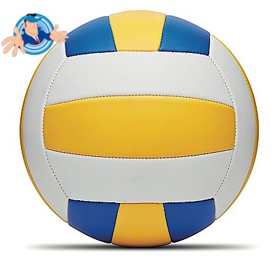 Pallone da volley, Logo Personalizzato