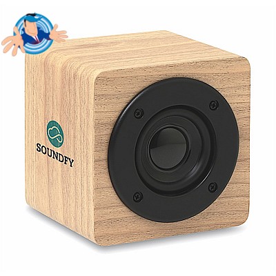 Speaker Bluetooth con aplificatore interno